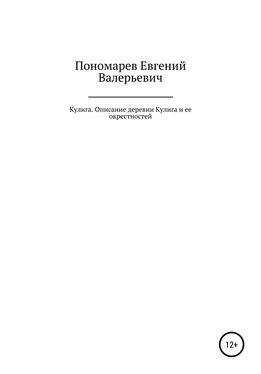 Евгений Пономарев Кулига. Описание деревни Кулига и ее окрестностей обложка книги