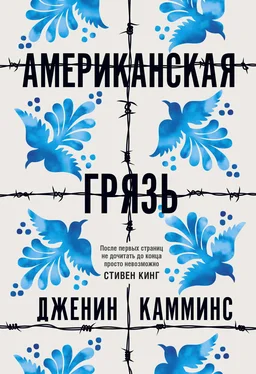 Дженин Камминс Американская грязь обложка книги