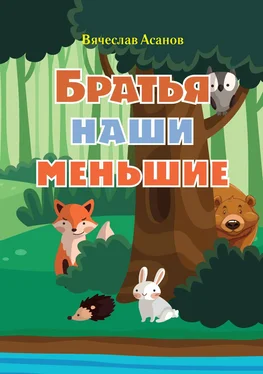Вячеслав Асанов Братья наши меньшие обложка книги