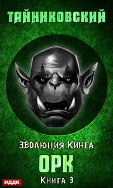 Тайниковский Орк обложка книги