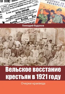 Геннадий Буданов Вельское восстание крестьян в 1921 году обложка книги