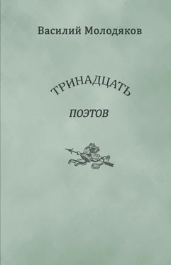 Василий Молодяков Тринадцать поэтов. Портреты и публикации обложка книги