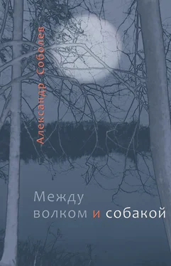 Александр Соболев Между волком и собакой обложка книги