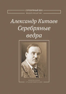 Александр Китаев Серебряные ведра обложка книги