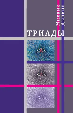 Михаил Дынкин Триады обложка книги