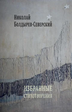 Николай Болдырев-Северский Избранные стихотворения обложка книги