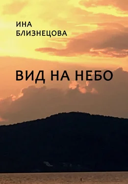 Ина Близнецова Вид на небо обложка книги