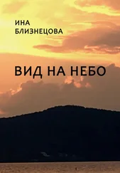 Ина Близнецова - Вид на небо