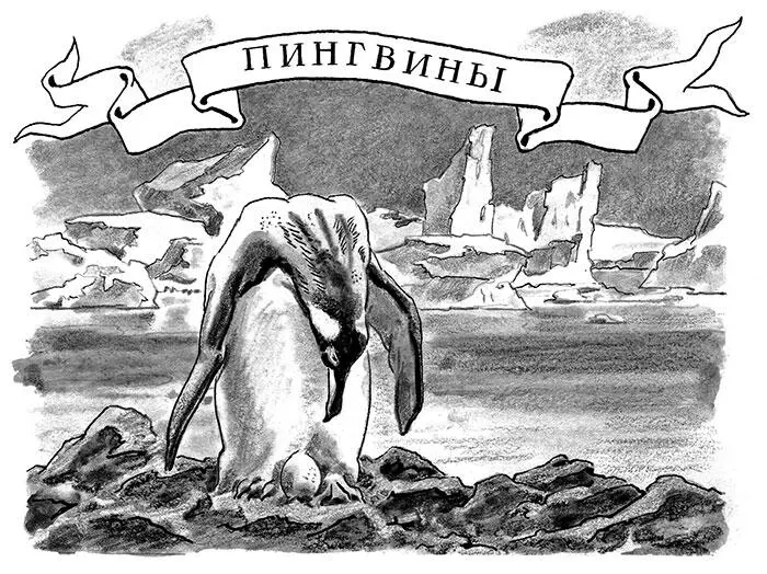 Место где произошла эта история на другом конце Земли почти прямо под - фото 9