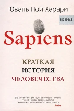 Юваль Ной Харари Sapiens. Краткая история человечества обложка книги