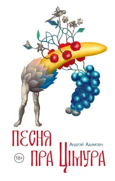 Андрэй Адамовіч Песня пра Цімура. Carmen de statura feritate ac venatione Timuris обложка книги