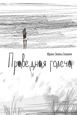 Франс Эміль Сіланпя Праведная галеча обложка книги