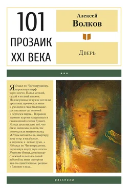 Алексей Волков Дверь обложка книги