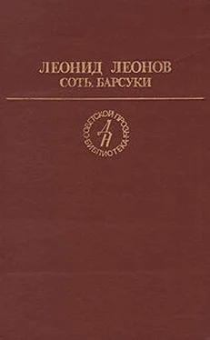 Леонид Леонов Барсуки обложка книги