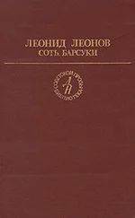 Леонид Леонов - Барсуки