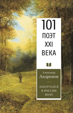 Александр Андронов Заплутался в России поэт обложка книги