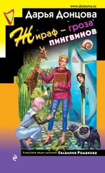 Дарья Донцова - Жираф – гроза пингвинов
