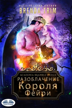 Brenda Trim Разоблачение Короля Фейри обложка книги