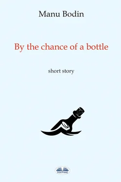 Manu Bodin By The Chance Of A Bottle обложка книги