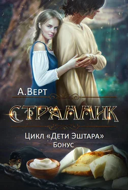Александр Верт Странник обложка книги