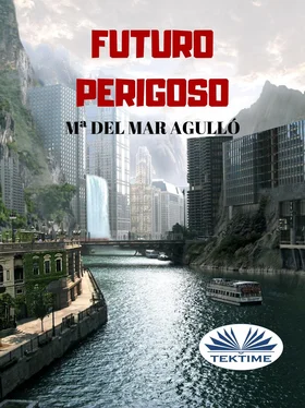 Mª Del Mar Agulló Futuro Perigoso обложка книги