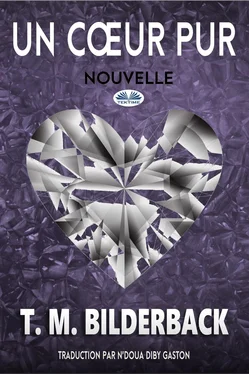 T. M. Bilderback Un Cœur Pur - Nouvelle обложка книги