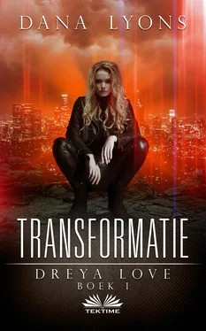Dana Lyons Transformatie обложка книги