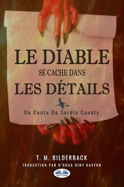 T. M. Bilderback Le Diable Se Cache Dans Les Détails - Un Conte Du Comté Sardis обложка книги