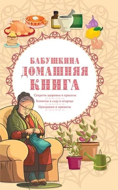 Сборник Бабушкина домашняя книга обложка книги