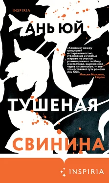 Ань Юй Тушеная свинина обложка книги