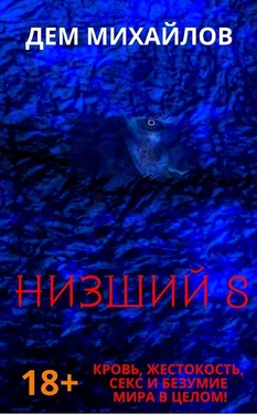 Дем Михайлов Низший 8 обложка книги