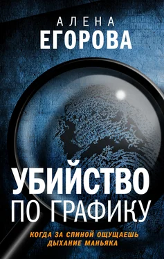 Алена Егорова Убийство по графику обложка книги