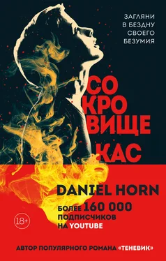 Дэниел Хорн Сокровище Кастеров обложка книги