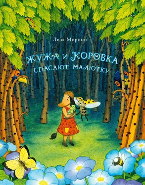 Лиза Морони Жужа и Коровка спасают малютку обложка книги