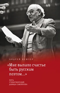 Андрей Немзер «Мне выпало счастье быть русским поэтом…» обложка книги