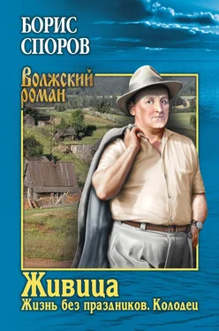 Борис Споров Живица: Жизнь без праздников; Колодец обложка книги