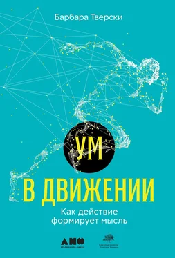 Барбара Тверски Ум в движении. Как действие формирует мысль обложка книги