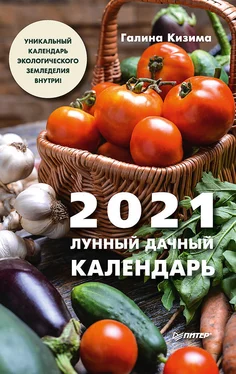 Галина Кизима Лунный дачный календарь на 2021 год обложка книги