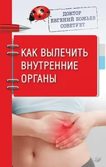 Евгений Божьев - Доктор Евгений Божьев советует. Как вылечить внутренние органы