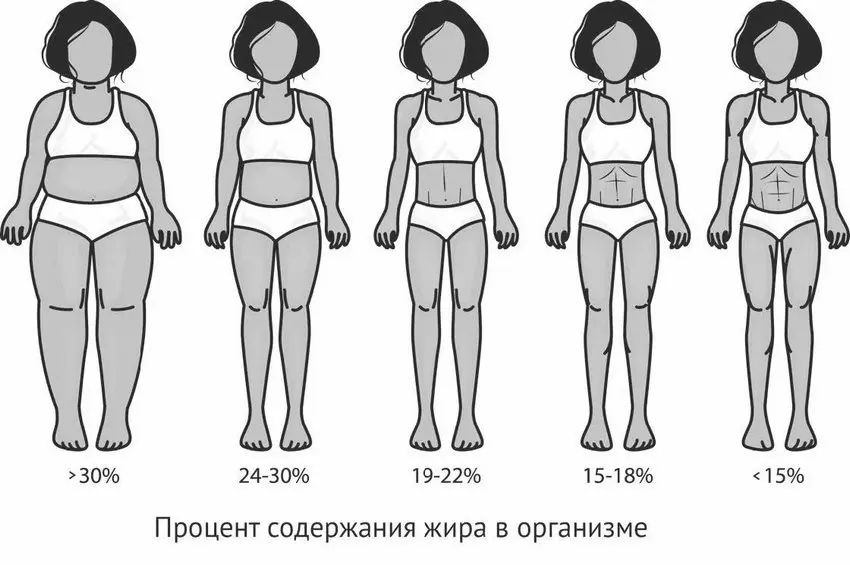 Мы с вами хотим быть не только стройными но и здоровыми верно Жировая ткань - фото 5