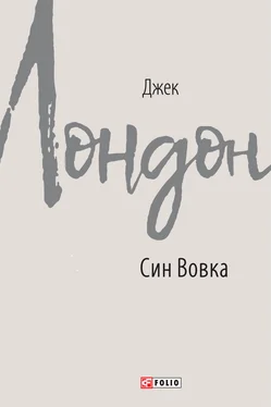 Джек Лондон Син Вовка обложка книги