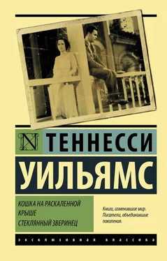 Теннесси Уильямс Кошка на раскаленной крыше. Стеклянный зверинец обложка книги