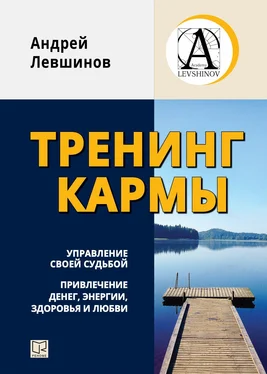 Андрей Левшинов Тренинг кармы. Управление своей судьбой, привлечение денег, энергии, здоровья и любви обложка книги