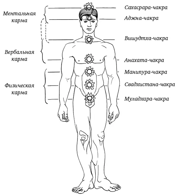 Рисунок 1 Основные чакры человека Несмотря на древность этого знания - фото 2