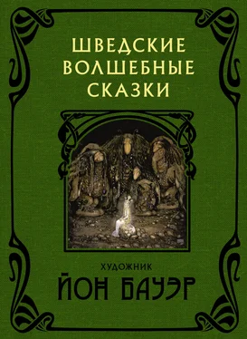 Сирус Гранер Шведские волшебные сказки обложка книги