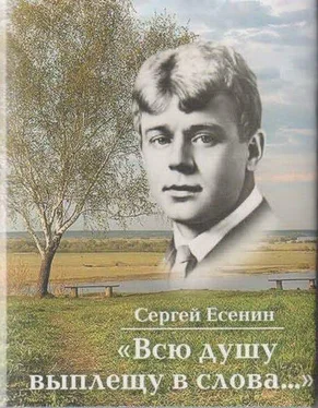 Сергей Есенин Всю душу выплещу в слова… обложка книги