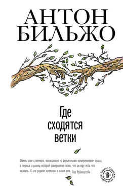 Антон Бильжо Где сходятся ветки обложка книги