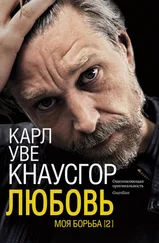 Карл Уве Кнаусгор - Моя борьба. Книга вторая. Любовь