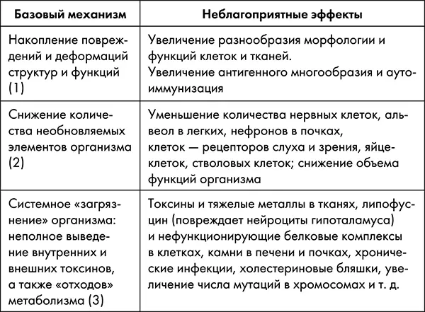 Эти механизмы неизбежно взаимодействуют между собой влияют друг на друга и - фото 6