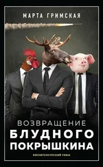 Марта Гримская - Возвращение блудного Покрышкина